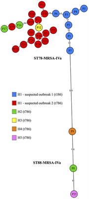 Intra-Hospital, Inter-Hospital and Intercontinental Spread of ST78 MRSA From Two Neonatal Intensive Care Unit Outbreaks Established Using Whole-Genome Sequencing